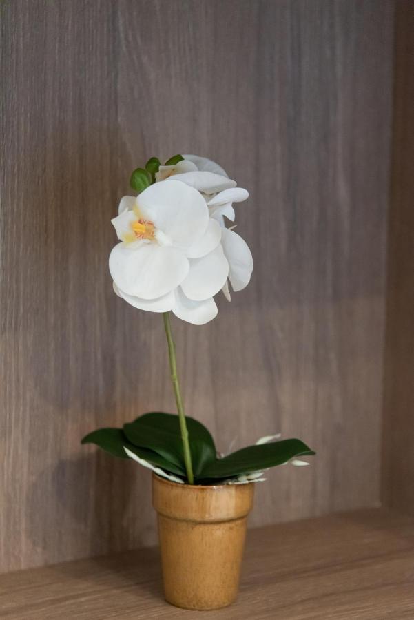 Medluxe Comfort Apartment Atene Esterno foto